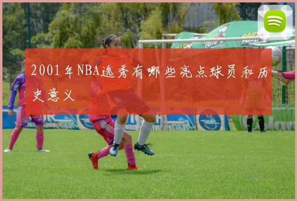 2001年NBA选秀有哪些亮点球员和历史意义