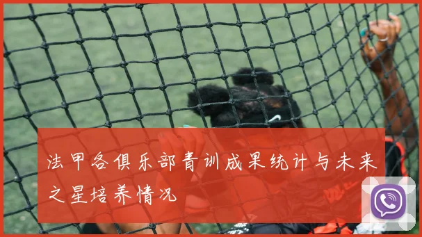 法甲各俱乐部青训成果统计与未来之星培养情况