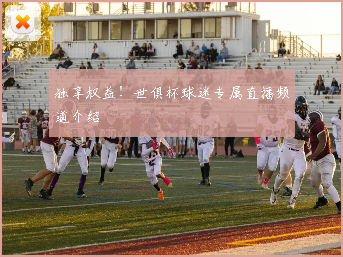 独享权益！世俱杯球迷专属直播频道介绍