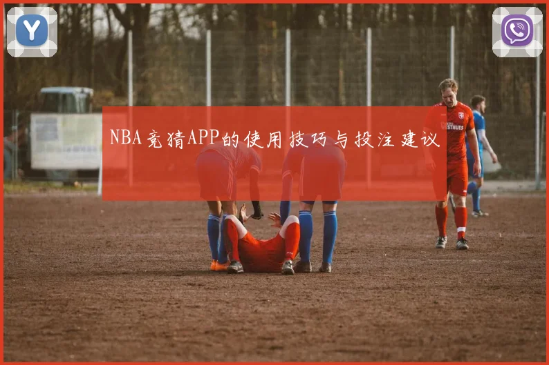 NBA竞猜APP的使用技巧与投注建议