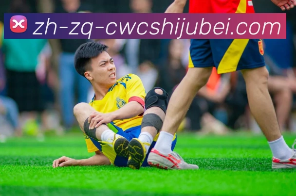 世界杯买球发展历程